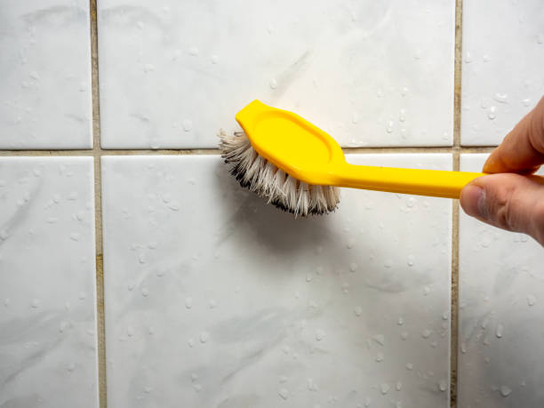 Best Mold Removal Company Near Me  in Central Point, OR