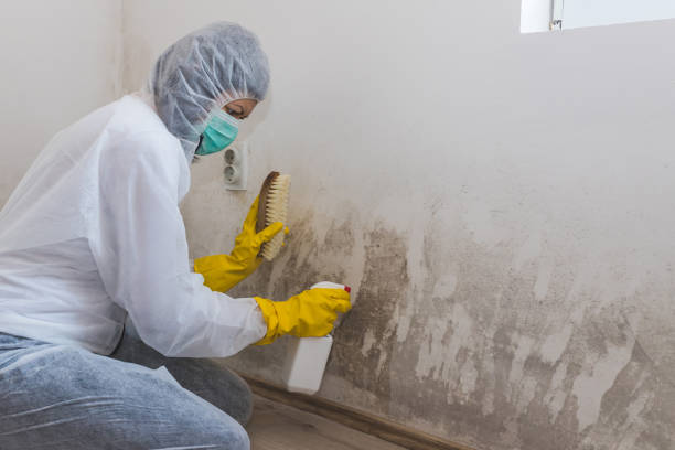 Best Mold Testing  in Central Point, OR