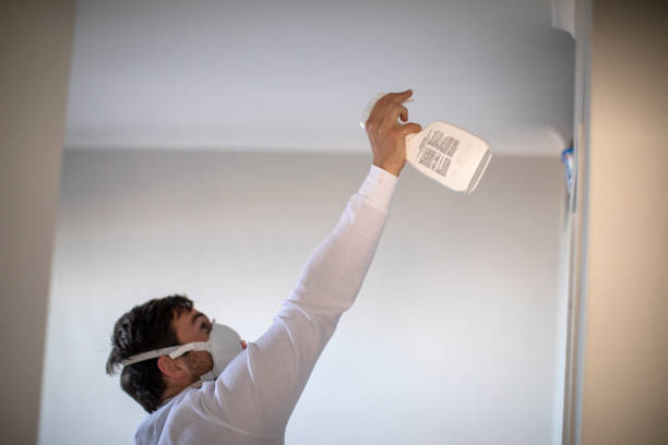 Central Point, OR Mold Removal Company