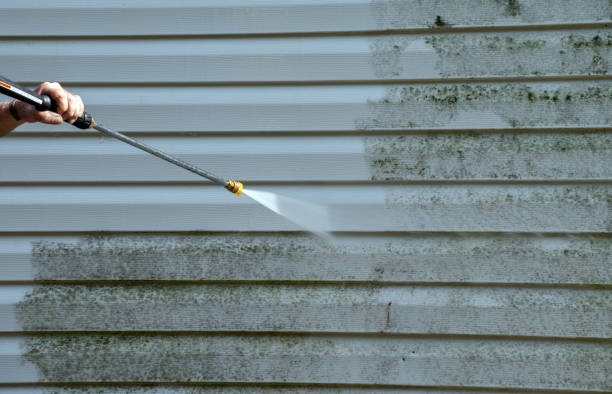 Best Attic Mold Removal  in Central Point, OR