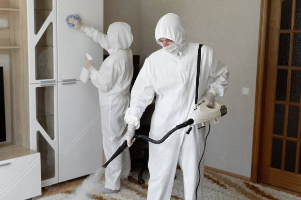 Best Toxic Mold Removal  in Central Point, OR
